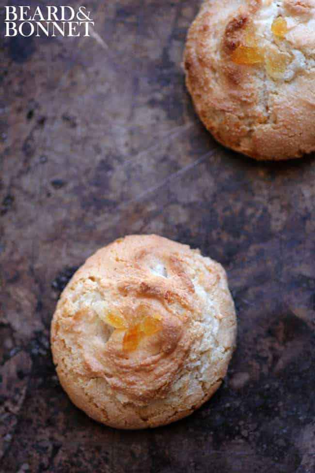 Chewy Ginger Amaretti Cookies  {Beard and Bonnet} #glutenfree #dairyfree