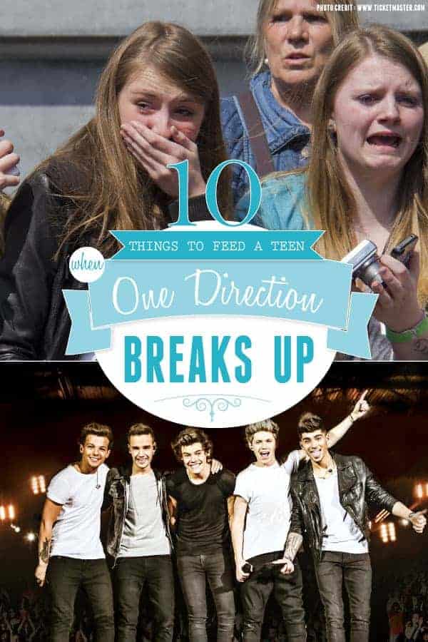 10 Recipes To Make A Teen When One Direction Breaks Up  { www.thismessisours.com }  @beardandbonnet